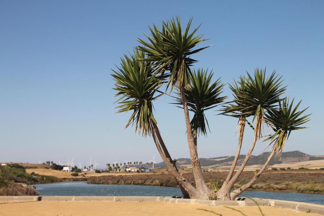 Apartamento Duplex En Conil Conil De La Frontera Extérieur photo